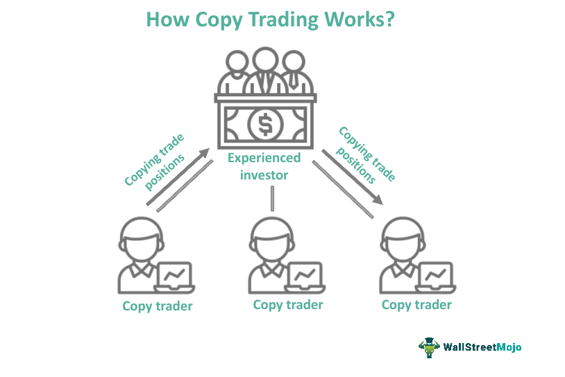 Etoro CopyTrader Tool