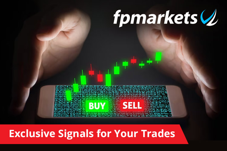 FP Markets Social Trading Dashboard